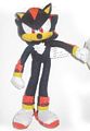 9-Inch Sonic Plush 2009 - Shadow